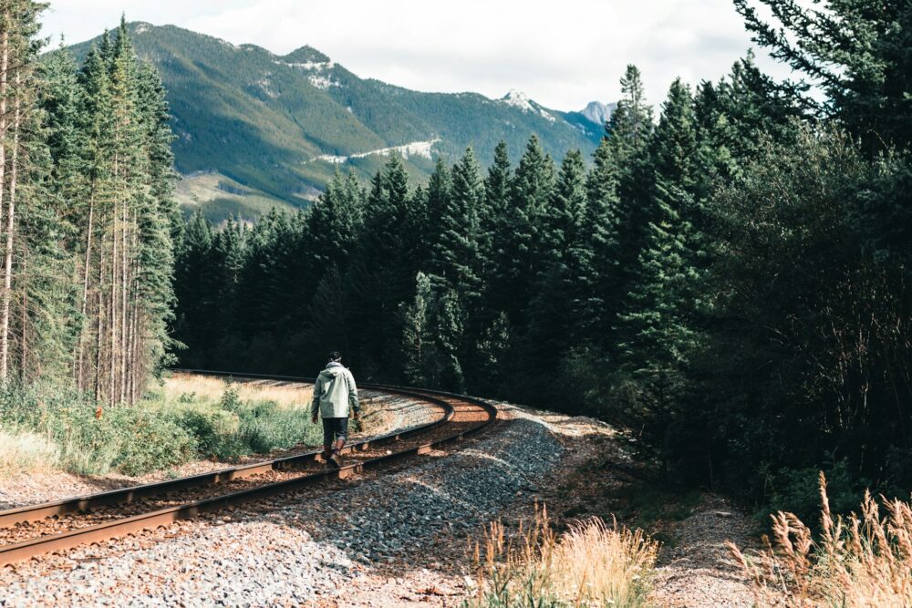 a-man-standing-on-a-train-track-in-the-middle-of-a-forest
